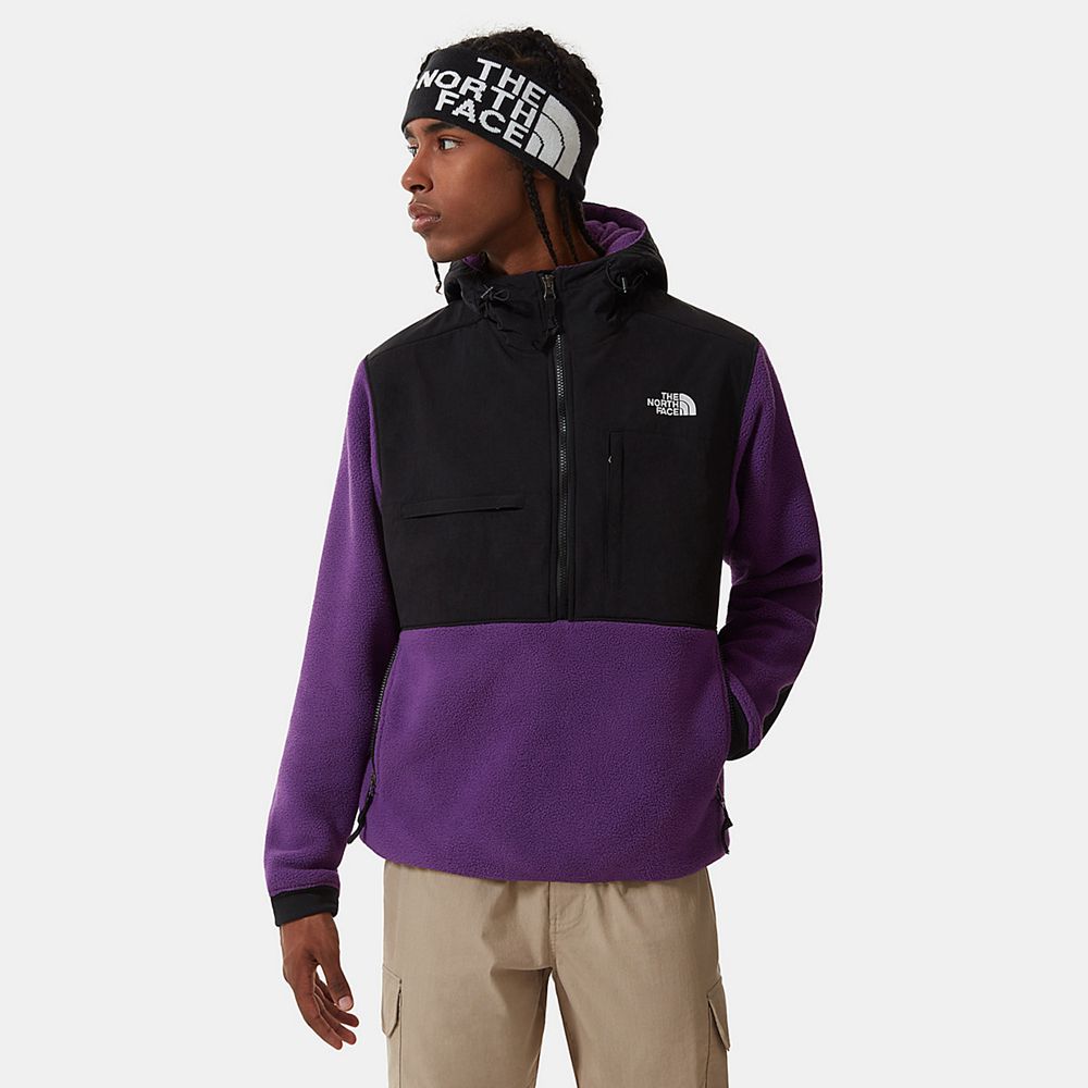 The North Face Fleece Mens Australia - The North Face Denali 2 Anorak Purple (KUQ-163579)